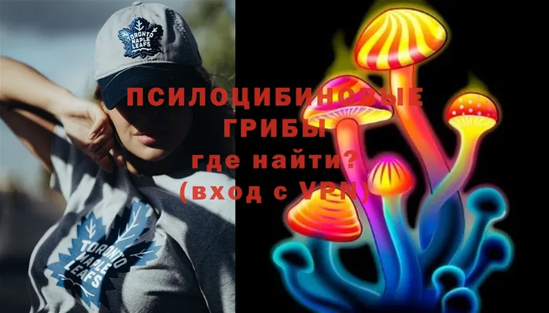 Псилоцибиновые грибы Cubensis  OMG ТОР  Миньяр 